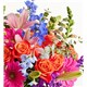 225291_alt1
